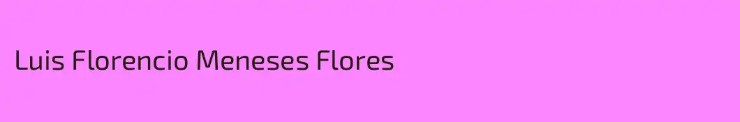 Luis Florencio Meneses Flores
